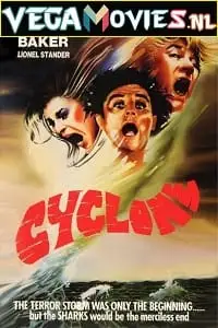 cyclone 1978
