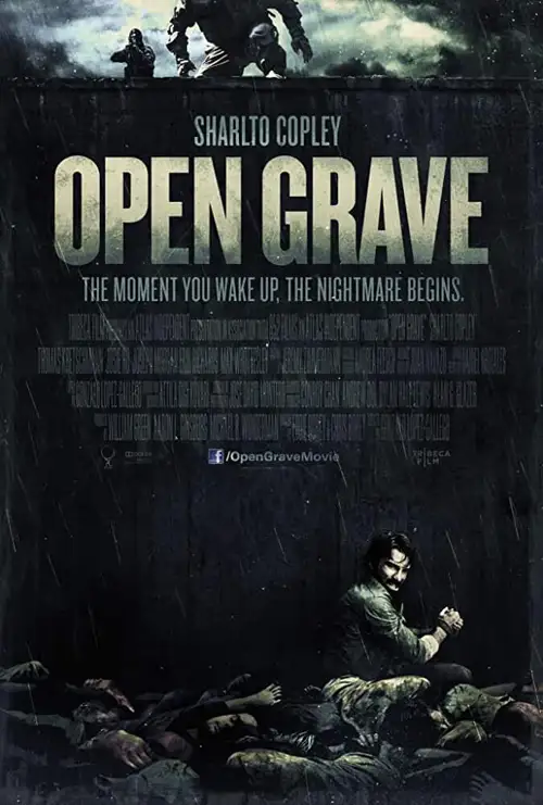 open grave 2013