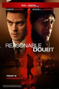 reasonable doubt 2014