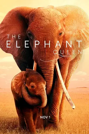 the elephant queen 2019