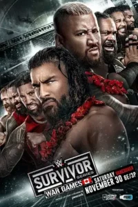 wwe survivor series wargames 30th november 2024